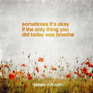 Meet your Posher, Rose